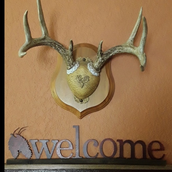 🥾 L.L. Bean DUCK BOOTS Nostalgic Lined Zip Front  Size 11 - Picture 8 of 16